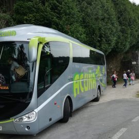 Servicios Discrecionales